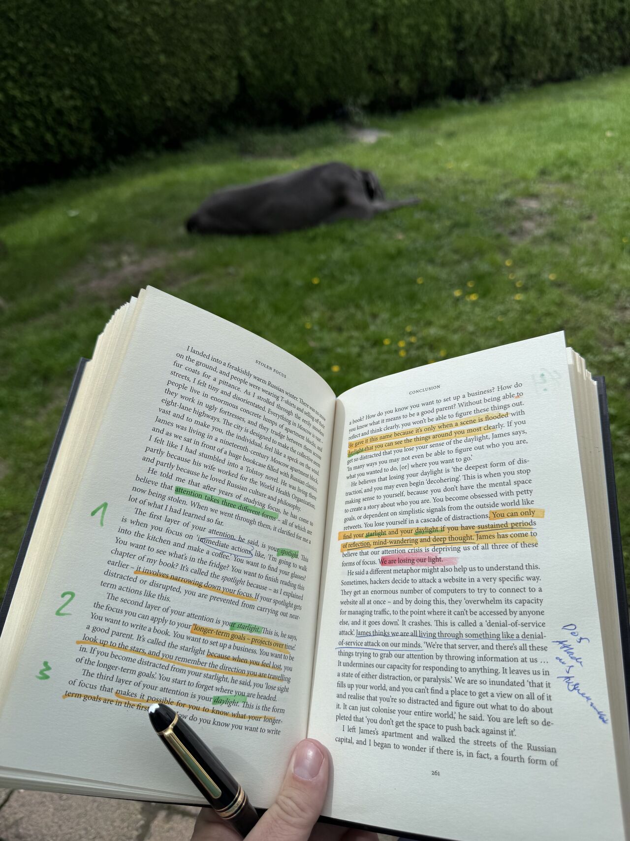 Buchtipp: Stolen Focus – Wie Social Media unsere Aufmerksamkeit raubt und was wir dagegen tun können